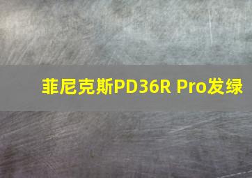 菲尼克斯PD36R Pro发绿